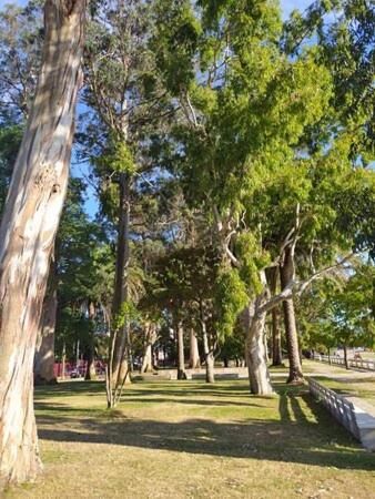 Apartamentos Mar De La Concha Vilagarcía de Arousa Exterior foto